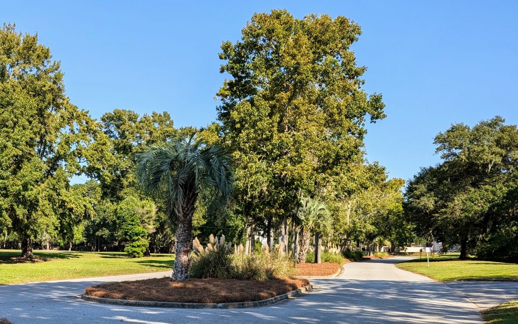 Islands in Parkshore III with fresh pine straw